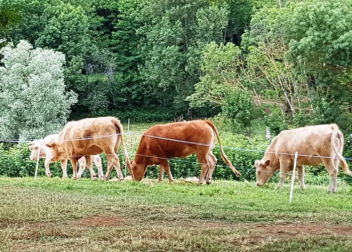 La Grange D'Aze